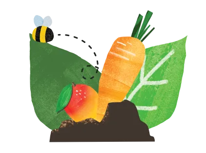InnocentDrinks, header