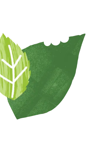 leaf-img