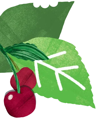 InnocentDrinks, dekoration